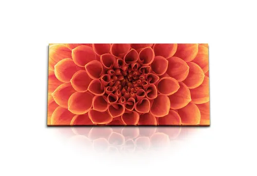 Sinus Art Leinwandbild Kunstdruck Bilder 120x60cm Dahlie Blume Blüte Nahaufnahme Rot, (1 St)