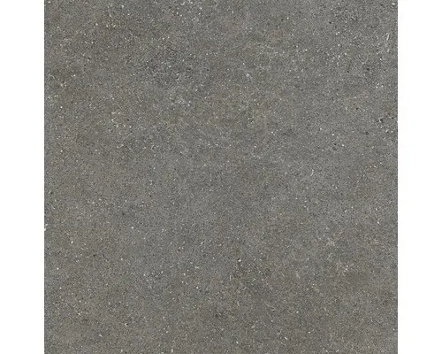 Feinsteinzeug Wand- und Bodenfliese Alpen Grau matt rektifiziert 60 x 60 x 1.0 c