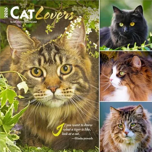 Cat Lovers – Katzenliebhaber 2026 – 16-Monatskalender: Original BrownTrout-Kalender [Mehrsprachig] [Kalender] (Wall-Kalender)