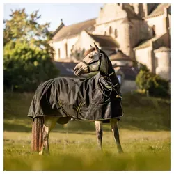 Bucas Irish Turnout Light 50g + Neck Set 1200D - black gold von Bucas