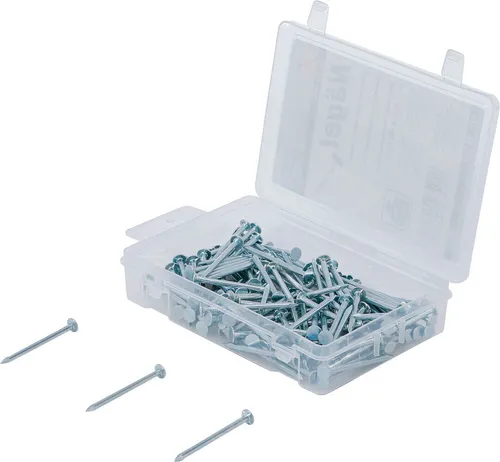 BGS-88114 Nägel-Sortiment 200 g 2,5 x 40 mm