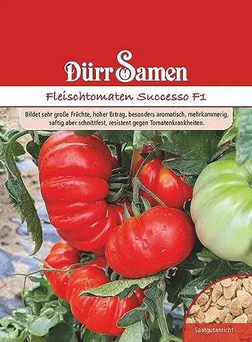 Fleischtomaten Samen Successo Tomatensamen Rote Tomaten ca 15 Korn Saatgut Robust Ertragreich Garten Hochbeet Kübel Dürr Samen