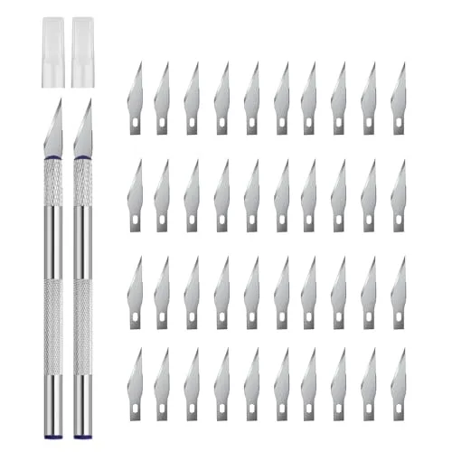 YPYMOD 2 Stück Precision Carving Craft Messer, Skulptur, Schnitzmesser für Bastelmesser mit 40 Ersatzklingen (Silber)