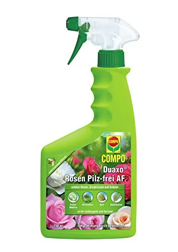 Compo Duaxo Rosen Pilz-frei AF, Bekämpfung von Pilzkrankheiten an Rosen, Zierpflanzen und Kräutern, Anwendungsfertige Handsprühflasche, 750 ml