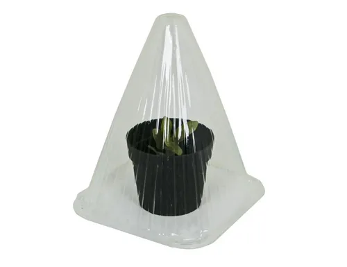 Westfalia Werkzeug Anzuchtdeckel Gartenglocken für die Anzucht, 10 Stück