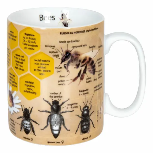 Könitz Wissensbecher Bees Becher Kaffeebecher Teetasse Tasse Porzellan 360 ml