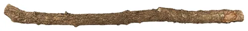 XXL Kork AST | 100 cm lang | Ast von der Korkeiche / Korkbaum | Naturkork Rinde