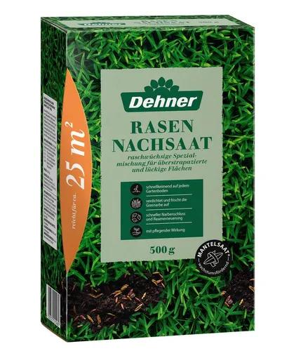 Pflanzen Beige von DEHN