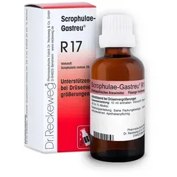SCROPHULAE-Gastreu R17 Mischung 50 ml
