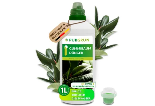Purgrün Universaldünger für Gummibäume von Purgrün