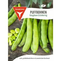 FRANKONIA Puffbohne Hangdown Grünkernig