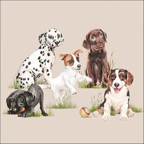 Servietten Playing Puppies Hunderassen im Gras Tiere Spiel Ball Deko 33x33cm 20
