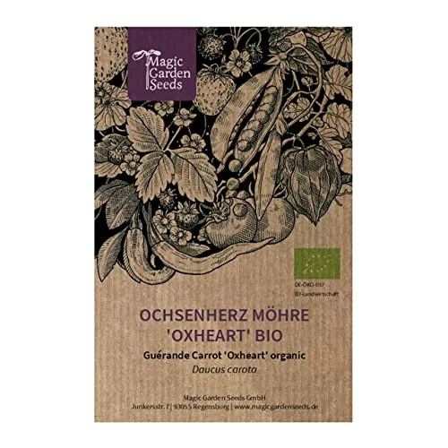 Orange mittelspäte Ochsenherz Möhre 'Oxheart' (Daucus carota) Bio 500 Samen