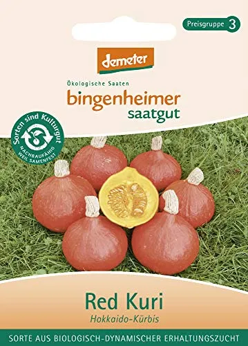 Bingenheimer Saatgut - Hokkaido Kürbis Red Kuri - Gemüse Saatgut / Samen