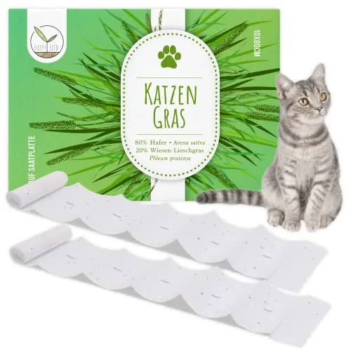 HappySeed Katzengras Samen Saatband 80 x 10 cm - Verdauungsförderndes Katzengras ganzjährig für alle Katzen geeignet