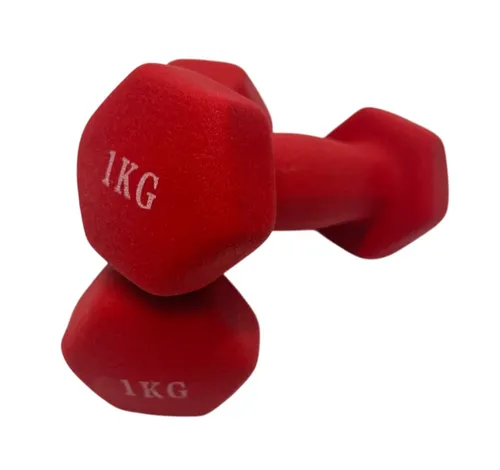 ❌Hanteln Vinyl 2 x 1 kg Vinylhantel Fitnesshantel Kurzhantel Training❌