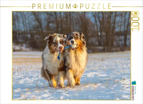 CALVENDO Puzzle Wir ziehen an einem Strang! | 1000 Teile - Klassisches Puzzle mit 1000 Teilen, zeigt spielende Aussies und sorgt für entspannte Stunden voller Freude und Teamgeist.