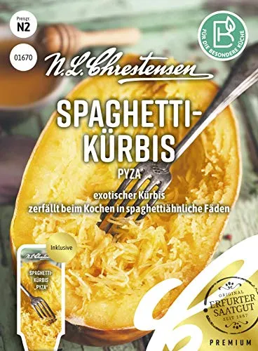 Spaghettikürbis Pyza Samen, Saatgut