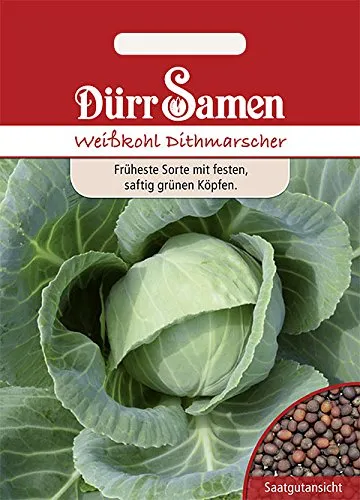 Dürr-Samen - Weißkohl Dithmarscher Saatgut