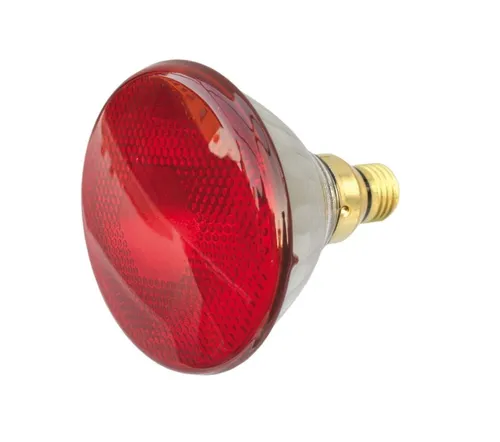 S+H Infrarotlampe Wärmestrahler PAR38