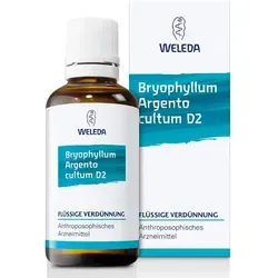 Bryophyllum Argento Cultum Dilution D2 von Weleda