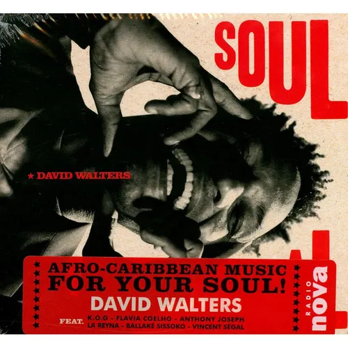 David Walters - Soul Tropical (EU - Original)