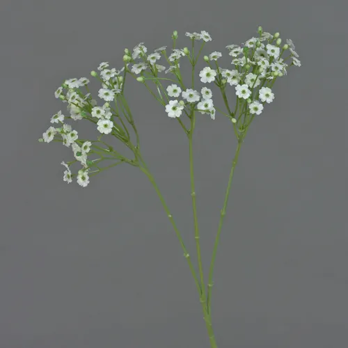 Produktbild artplants Dekozweig Schleierkraut SIKINOS, weiß, 65cm