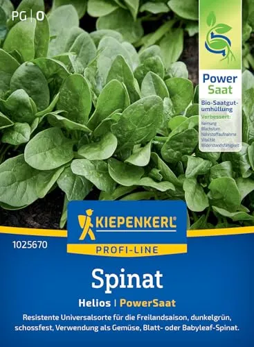 Kiepenkerl Profi-Line Spinatsamen Helios 1025670 - Resistente Universalsorte für die Freilandsaison mit einer Wuchshöhe von 10 bis 20 cm und einem Inhalt für 6 bis 8 lfd. Meter - Saatgut