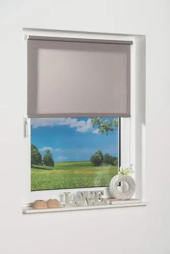 K-Home Klemmfix-Minirollo, Grau Tageslicht B75 x H150 cm