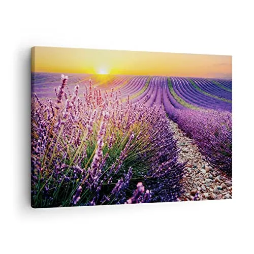 Bilder auf Leinwand Feld Lavendel Sonne Leinwandbild mit Rahmen 70x50cm Wandbilder Dekoration Wohnzimmer Schlafzimmer Küche Deko Klein Wanddeko Bild Wand Kunstdruck Art Wall Decor Canvas AA70x50-4703