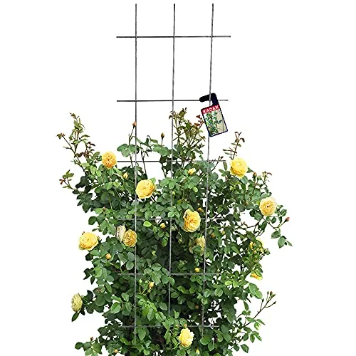 KADAX Rankgitter 45 x 150 cm von KADAX