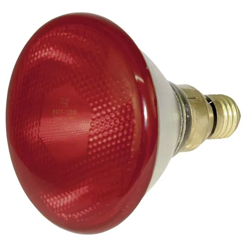Kerbl Wärmelampe 100 W - Infrarot Lampe für Küken und Ferkel - Fütterungs- & Aufzuchttechnik mit E27 Fassung, ideal für die Aufzucht von Tieren dank langer Lebensdauer von ca. 5.000 h.