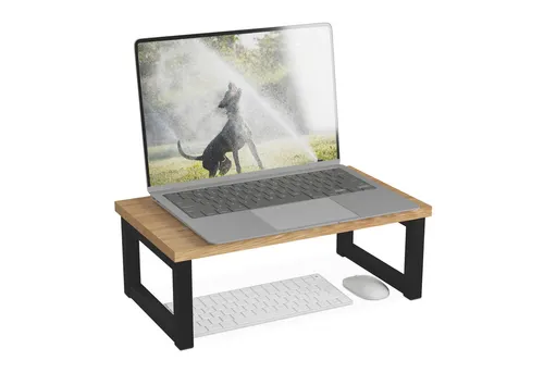 relaxdays Monitorständer im Industrial Desig, (1-tlg., L)