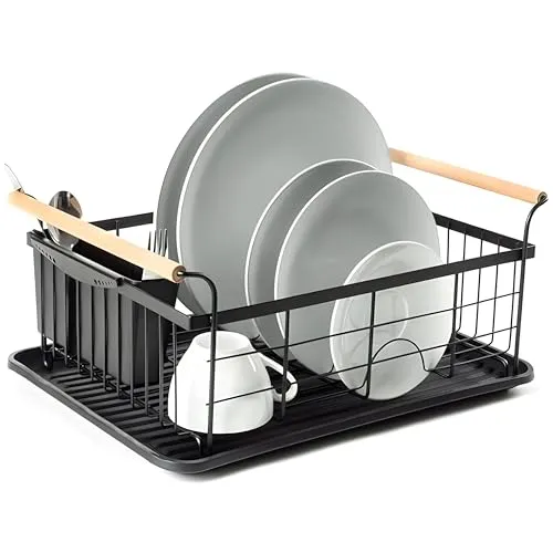Retoo Abtropfgestell Einlagige Geschirr Abtropfständer, Geschirrabtropfer Drip, Tropfschale, Geschirrabtropfgestell, Besteckhalte, Besteckständer mit Herausnehmbarem Tablett, 43x32x19cm, Schwarz