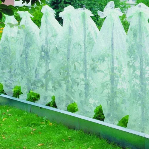 Testrut Gartenvlies Tomatenvlies 0,8 x 5 m, (1-St)