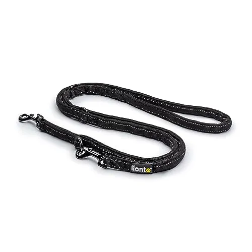 lionto Führleine 3-fach verstellbar für Hunde, reflektierende Hundeleine 200 cm, hochwertige Trainingsleine für sportliche Spaziergänge, strapazierfähiges Nylon & rostfreie Edelstahlkarabiner, schwarz