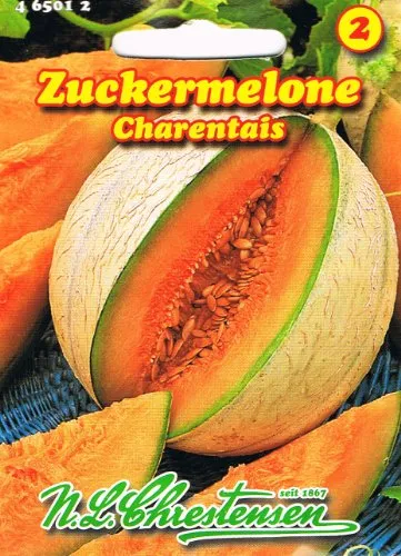 Zuckermelone Charentaise (Portion)