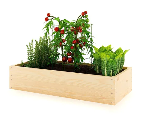 Lermowoood Hochbeet aus Holz 60x40x20 cm Natur – Pflanzkasten für Gemüse & Kräuter – mit Agrovließ – steckbar & stapelbar- Aussenbereich ideal für Garten, Balkon & Terrasse