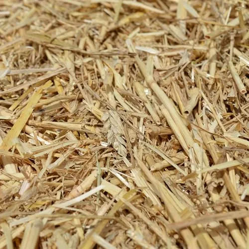 agrar-store 5Kg Stroh Gerstenstroh direkt ab Hof Einstreu Futter Meerschweinchenstroh Hasenstroh - Ernte 2024