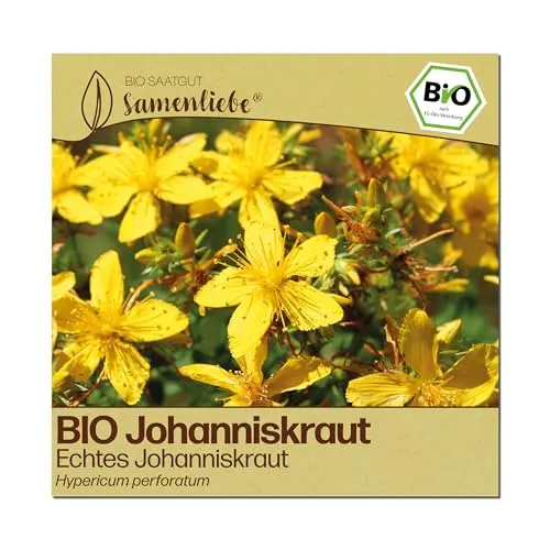 Samenliebe BIO Johanniskraut Samen | Echtes Johanniskraut