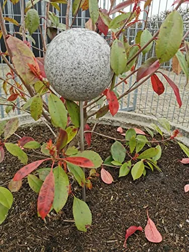 Jürgen Bocker Garten-Ambiente grau Gartenstecker Rosenkugel 15 cm Edelstahl mit Stab 80 cm