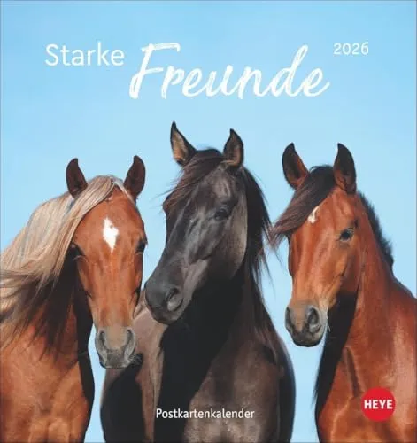 Pferde Postkartenkalender 2026 - Starke Freunde: Pferdefotografin Sabine Stuewer setzt die edlen Tiere in einem kleinen Kalender perfekt in Szene. ... (Postkartenkalender Heye)