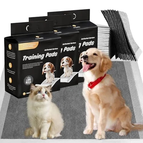 Nanipets® Trainingspad für Hunde - Extra große 60 x 90 cm PIPI-Pads - Einwegtrainingsunterlagen für Hunde, superabsorbierend mit 6-lagigem Design für schnelle Feuchtigkeitsaufnahme und auslaufsichere Rückseite für saubere Böden.