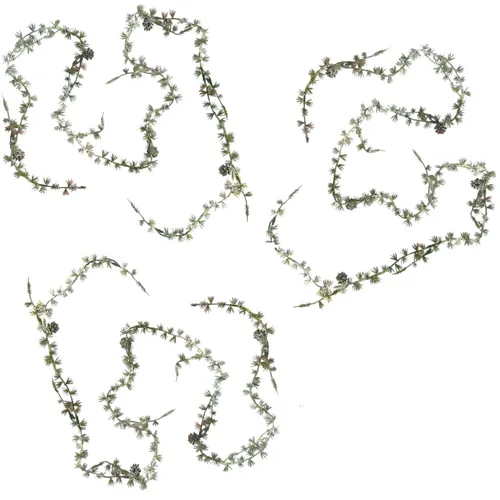 Kränze & Girlanden Grün von naninoa GmbH