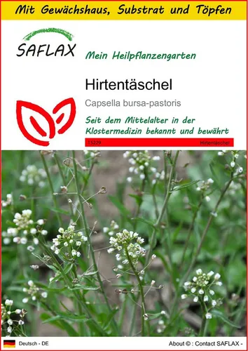 SAFLAX Blumensamen SAFLAX - Anzuchtset - Hirtentäschel