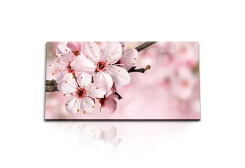 Sinus Art Leinwandbild Kunstdruck Bilder 120x60cm Kirschblüte Blüte Frühling Ast Rosa Baumblü, (1 St)