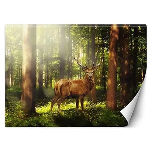 Feeby Fototapete XXL Bäume Natur Wald Tier 400x280 cm Grün Vliestapete Moderne Design Wandtapete Küche Flur Wohnzimmer Büro Badezimmer Kinderzimmer Sonnenschein Hirsche