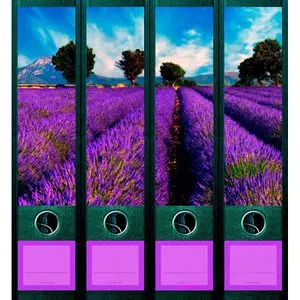 FileArt Provence Design-Etiketten 4 Ordnerrücken, 4 Stück