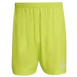 adidas Shorts Grün von adidas