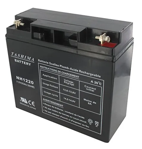 Tashima Motorrad Batterie NH1220/NH1218 12V 20Ah von Greenstar